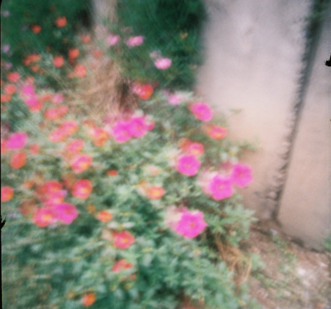 kaku_c006.jpg